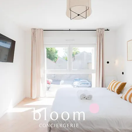 Le Duplex Imperial De Foch Daire Nancy